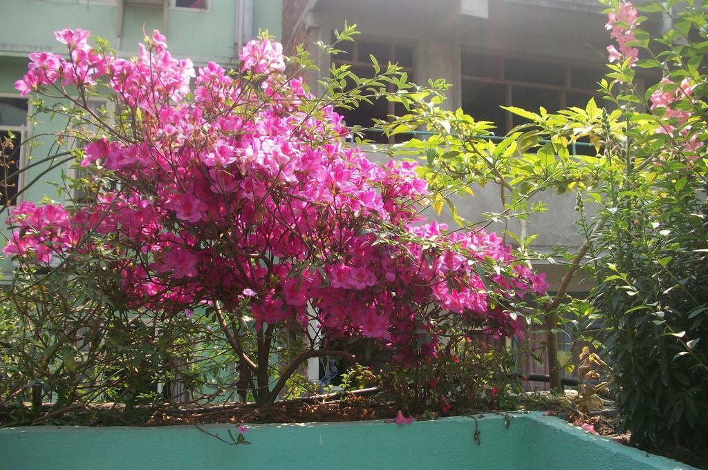 Hotel Impala Garden Kathmandu Exterior photo