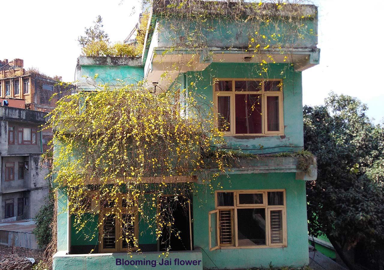 Hotel Impala Garden Kathmandu Exterior photo